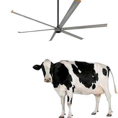 建設工事 必須 7.3m/24ft リバーシブル 産業用 天井 装着 HVLS 扇風機