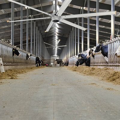 静かな1.5kW 24FT 高速HVLS 大型工業用電気天井扇風機