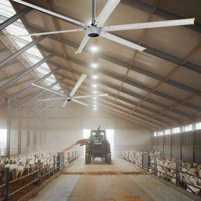 静かな1.5kW 24FT 高速HVLS 大型工業用電気天井扇風機