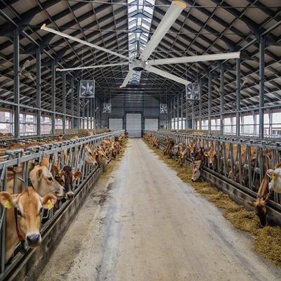 牛屋や馬の飼育場のための強力な冷却風扇 長さ280-1400m2 覆蓋
