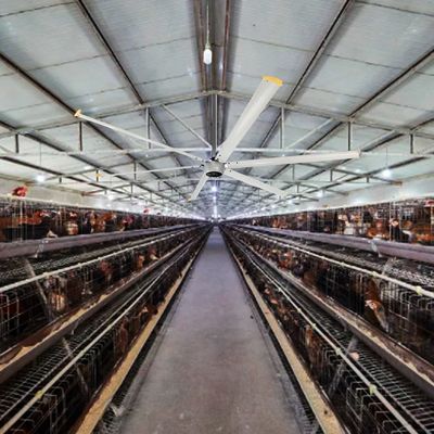 1100W BLDCモーター ビッグアス 24フィート 冷却天井 5刃 HVLS 産業扇風機 エネルギー